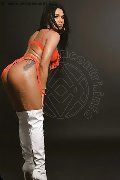 Foto Loren Trans Pesaro 3890085359 - 14