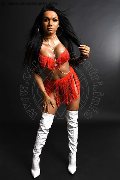 Foto Loren Trans Pesaro 3890085359 - 16