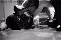 Foto Madame Jacqueline Domina Mistress Vicenza 3884822293 - 23