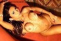 Foto Michelly Araujo Pornostar Trans Bruxelles 0032496894479 - 56