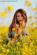 Foto Monica Kicelly Transescort Bologna 3245833097 - 202