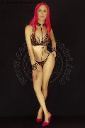 Foto Nady Trans Vicenza 3338758341 - 143