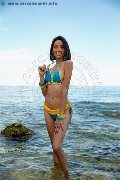 Foto Nara Trans Marina Di Montemarciano 3491526431 - 52