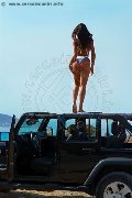 Foto Nauana Lima Pornostar Transescort Milano 3936529793 - 215