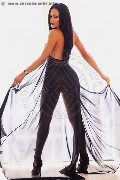 Foto Nauana Lima Pornostar Transescort Milano 3936529793 - 226
