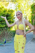 Foto Nina La Divina Trans Ibiza 0034617911341 - 18