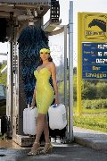 Foto Paula Bituschini Trans Brescia 3898857998 - 98