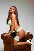 Foto Paula Xxl Trans Cannes 3762961336 - 3