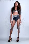 Foto Safira Snt'z  Trans Alba Adriatica 3278243596 - 46