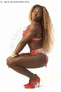 Foto Safira Snt'z  Trans Alba Adriatica 3278243596 - 9