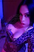 Frosinone Trans Camilla Sexy Bambola 329 70 99 256 foto selfie 4