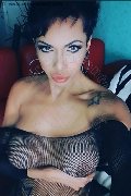 Vercelli Trans Deborha Myers 388 83 84 107 foto selfie 64