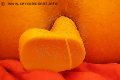  Trav Lola Orsini Adorno 339 57 05 821 foto selfie 48