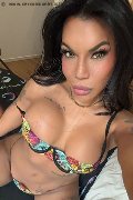 Parma Trans Escort Mandy Asiatica 327 05 31 479 foto selfie 1