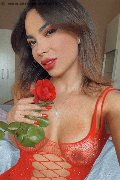  Trans Marilia Almeida 388 18 45 030 foto selfie 15