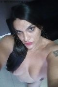 Lodi Trans Escort Reina Cavallona 327 28 59 530 foto selfie 21