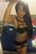 Roma Trans Rosa Xxxl 328 74 36 345 foto selfie 48