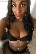 Gallarate Trans Escort Thalita Top Xxxl 388 48 85 062 foto selfie 22