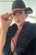 Treviso Trans Valeria 338 87 18 849 foto selfie 28