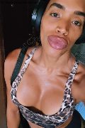 Milano Trans Violet 331 38 81 628 foto selfie 11