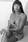 Foto Serena Xl Trans Malnate 3494525094 - 10