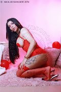 Foto Sophie Vergara Transescort Torino 3516700925 - 9