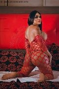 Foto Trecy Trans Avellino 3509822464 - 3