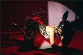 Foto Vanessa Hilton Trans Modena 3245846577 - 132