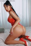 Foto Vanessa Midori Transescort Faenza 3475451376 - 1