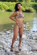Foto Adriana Paulett Transescort 3891399263 - 388