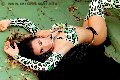 Foto Bella Solare Transescort Giussano 3347416269 - 23
