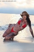 Foto Bruninha Trans Avellino 3508578851 - 31