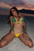 Foto Bruninha Transescort Avellino 3508578851 - 33