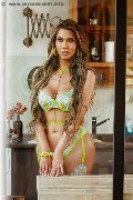 Foto Dafne Pornostar Trans Napoli 3801422205 - 61