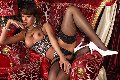 Foto Daniella Souza Trans Parma 3514796527 - 23