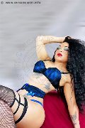 Foto Dior Trans Genova 3472825420 - 249