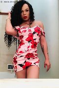 Foto Dior Trans Genova 3472825420 - 527