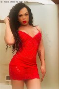 Foto Dior Transescort Genova 3472825420 - 462