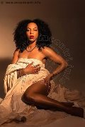 Foto Elara Transescort 3519289028 - 3