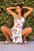 Foto Elodie Escort Vercelli 3713942459 - 1