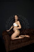 Foto Hellen Lopes Trans Colonnella 3246973628 - 3