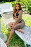 Foto Hillary Brasiliana Trans Alba Adriatica 3384136322 - 43