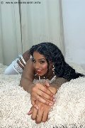 Foto Hillary Brasiliana Trans Alba Adriatica 3384136322 - 89