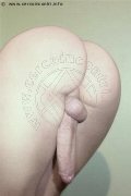 Foto Hot Vanessa Dior Travescort Noventa Di Piave 3450405832 - 8