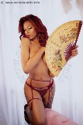 Foto Kiara Bardo Trans Firenze 3287752641 - 14