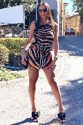Foto Luisa Transescort Dalmine 3343213842 - 17