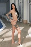Foto Maria Escort Vibo Valentia 3295556638 - 8