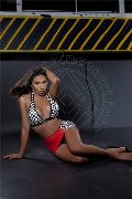 Foto Naomi Trans Porto Sant'elpidio 3509027773 - 4