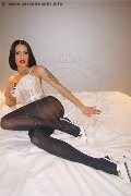 Foto Nick Miller Trans Verona 3382945956 - 11