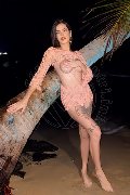 Foto Nick Miller Transescort Verona 3382945956 - 79